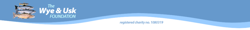 WyeAndUskFoundation