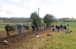 wet-meadow-md-cropped-img_1100-1024x665