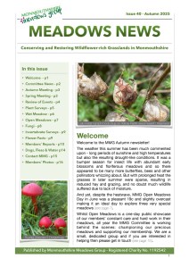 MMG Newsletter Autumn 2025 front cover image