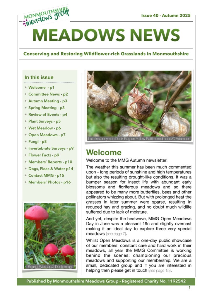 MMG Newsletter Autumn 2025 front cover image